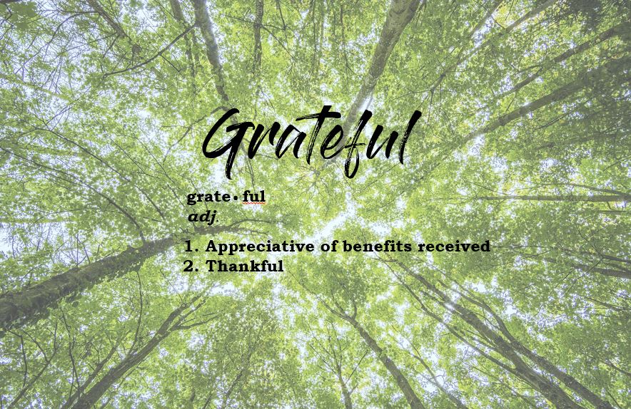 Definition of Grateful with a backdrop of green, converging trees