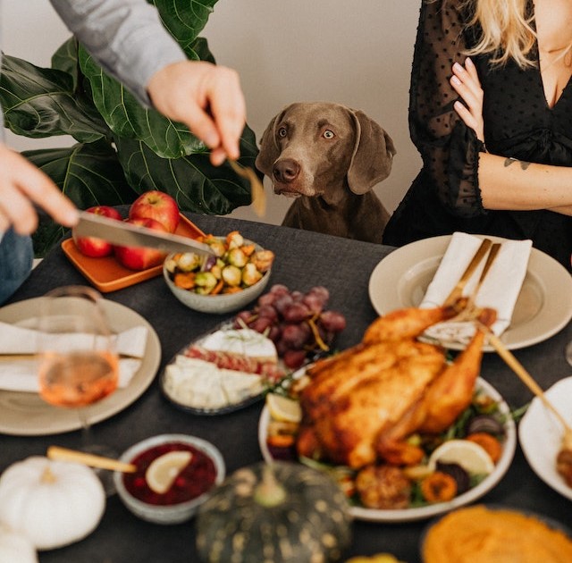 Dog anxiously looking at table filled with food