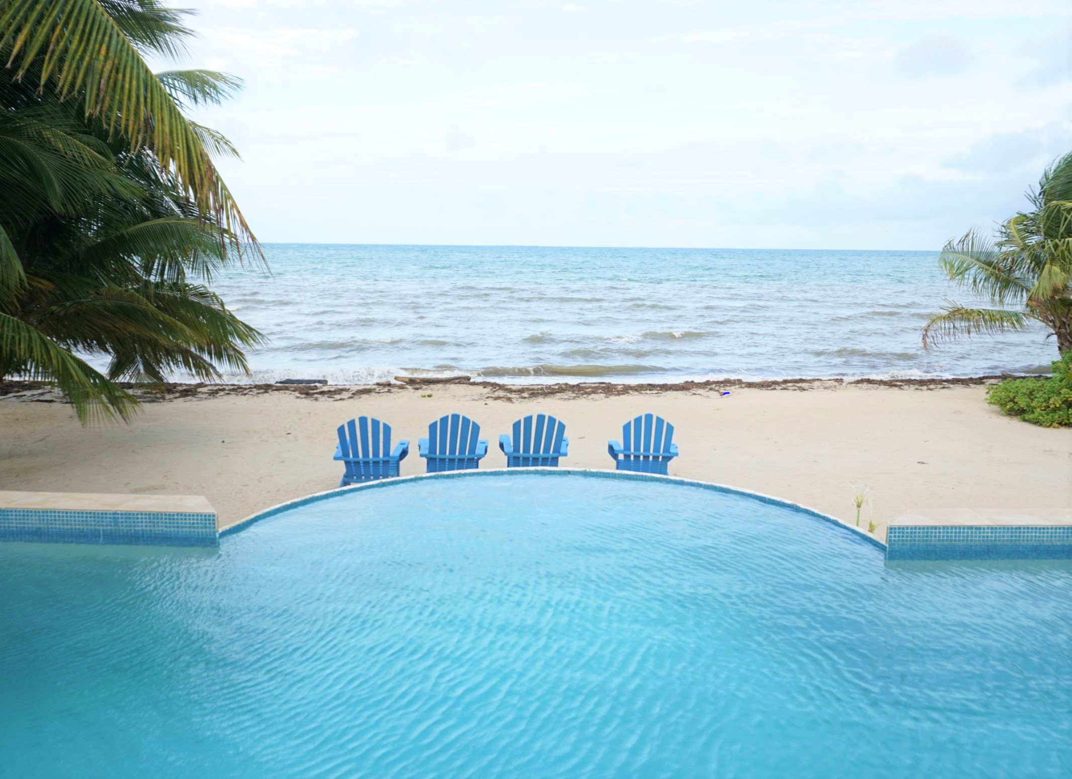 View of pool in front of ocean surrounded by palm trees